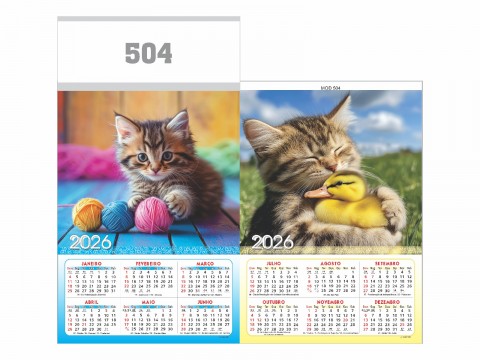 504