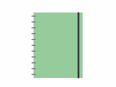 Caderno Graf-Disco Verde Sereno